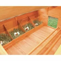 FERME DE BEAUMONT Poulailler Calgary -Poulailler et élevage de la basse-cour Soldes Magasin 10735306 3