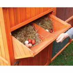 FERME DE BEAUMONT Poulailler Norway -Poulailler et élevage de la basse-cour Soldes Magasin 10735311 4