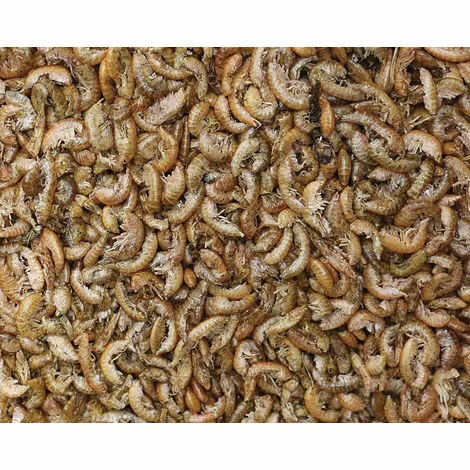 FERME DE BEAUMONT Crevettes Déshydratées 2,5 Litres (250 Gr) 2 FERME DE BEAUMONT Crevettes Déshydratées 2,5 Litres (250 Gr) – Image 2