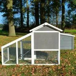 BB-LOISIRAM Poulailler Exterieur En Bois Avec Toit Pliant 175x66x101 Cm Modele- Dottie 151 Taille L -Poulailler et élevage de la basse-cour Soldes Magasin 11089461 5