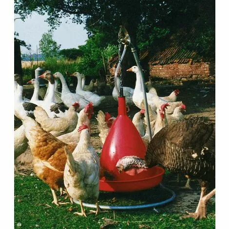 SONSTIGE Abreuvoir Sur Pied, Pour Haute Pression 2 SONSTIGE Abreuvoir Sur Pied, Pour Haute Pression – Image 2