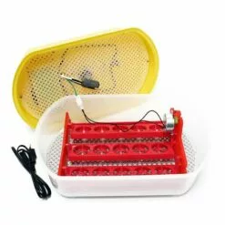 WILTEC Couveuse Automatique 15 Oeufs Appareil à Couver Incubateur Volaille Eleveurs -Poulailler et élevage de la basse-cour Soldes Magasin 1207869 3