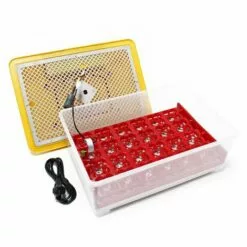 WILTEC Couveuse Automatique 24 Oeufs Appareil à Couver Incubateur Volaille Eleveurs -Poulailler et élevage de la basse-cour Soldes Magasin 1207870 3