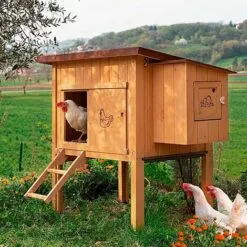 Ferplast HEN HOUSE 10 Maisonnette Pour Poules En Bois De Pin Nordique. Variante HEN HOUSE 10 - Mesures: 124 X 98 X H 110 Cm - -Poulailler et élevage de la basse-cour Soldes Magasin 13458173 4