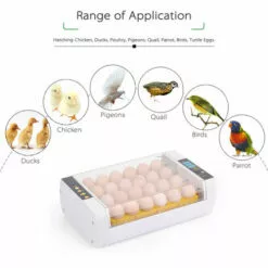 ASUPERMALL Incubateur Automatique Pour Oeufs, Ac220V, (Peut Regarder La Video) -Poulailler et élevage de la basse-cour Soldes Magasin 14635315 4