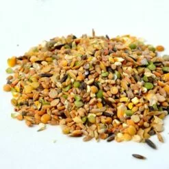 GASCO Repas Complet Spécial Ponte Pour Poules, Avec Distributeur Intégré -Poulailler et élevage de la basse-cour Soldes Magasin 15622515 3