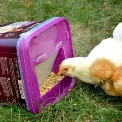 GASCO Repas Complet Spécial Ponte Pour Poules, Avec Distributeur Intégré -Poulailler et élevage de la basse-cour Soldes Magasin 15622515 5