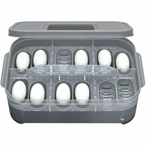 ASUPERMALL Boite D'Elevage De Reptiles 1 ASUPERMALL Boite D'Elevage De Reptiles