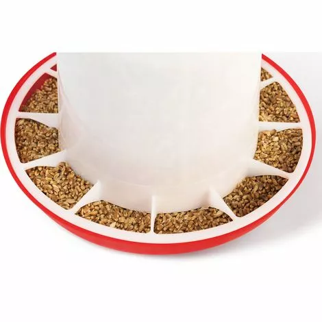 IDMARKET Lot Mangeoire 3 Kg Et Abreuvoir 3L Pour Poules Et Volailles 4 IDMARKET Lot Mangeoire 3 Kg Et Abreuvoir 3L Pour Poules Et Volailles – Image 4