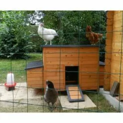 ONYX Pondoir Pour Poulailler Sussex L Et Xl 2 Places Bois Fsc -Poulailler et élevage de la basse-cour Soldes Magasin 18991368 3