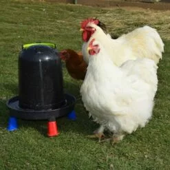 POULAILLER DIRECT Abreuvoir Volailles À Pieds En Plastique Recyclé Eco 10l -Poulailler et élevage de la basse-cour Soldes Magasin 19267400 5