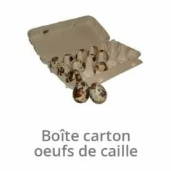 MISTERCAILLE Boîtes Pour Les Oeufs Cailles En Carton Lot De 20_ -Poulailler et élevage de la basse-cour Soldes Magasin 2006057 3