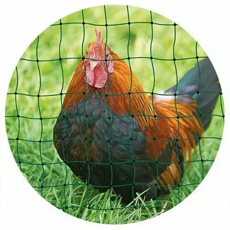 AKO AGRARTECHNIK Filet à Volailles 25m Simple Pointe 25m Vert - Vert 1 AKO AGRARTECHNIK Filet à Volailles 25m Simple Pointe 25m Vert - Vert