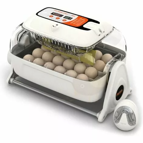 R-COM Couveuse RCOM King Suro 20 MAX 1 R-COM Couveuse RCOM King Suro 20 MAX