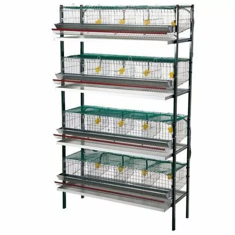 AVIMAC Cage Cailles Pondeuses 16 Compartiments 1 AVIMAC Cage Cailles Pondeuses 16 Compartiments