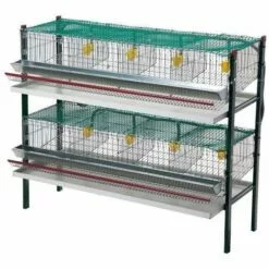 AVIMAC Cage Cailles Pondeuses 8 Compartiments