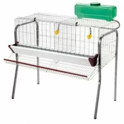 AVIMAC Cage Pour Poule Pondeuses 2 Compartiments