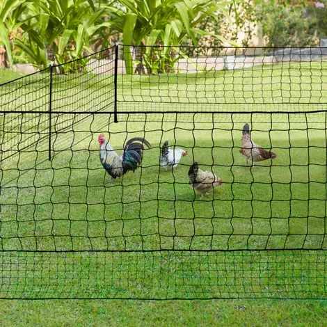 IDMARKET Kit Clôture Filet à Poules 12 M Avec Porte 6 Piquets Double Pointe 1 IDMARKET Kit Clôture Filet à Poules 12 M Avec Porte 6 Piquets Double Pointe