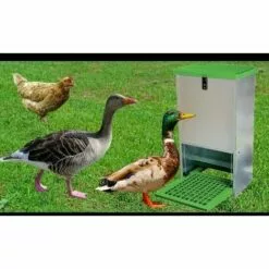 OLBA Mangeoire Anti-nuisible à Trémie, 20 Kg - Vert -Poulailler et élevage de la basse-cour Soldes Magasin 23807043 5