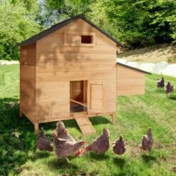 IDMARKET Poulailler Chalet 6 à 10 Poules Avec Pondoir En Bois - Naturel