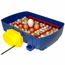 Couveuse Digitale BOROTTO 24 Oeufs Automatique -Poulailler et élevage de la basse-cour Soldes Magasin 24995800 4