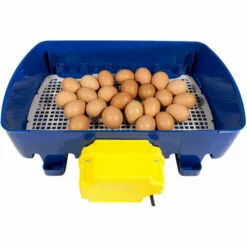 Couveuse Digitale BOROTTO 24 Oeufs Automatique -Poulailler et élevage de la basse-cour Soldes Magasin 24995800 5