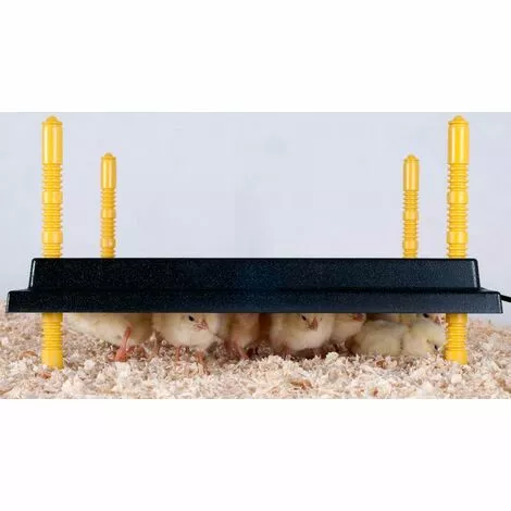 AUTRES Plaque Chauffante Pour Poussins - 30 X 30 Cm 22W / 220-240 V 2 AUTRES Plaque Chauffante Pour Poussins - 30 X 30 Cm 22W / 220-240 V – Image 2