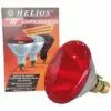Ampoule Infrarouge PAR Helios 100 W, Rouge - Rouge