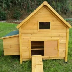 CHEMIN DES POULAILLERS Poulailler Cémani L Toit Shingle Vert 4 À 6 Poules - Vert