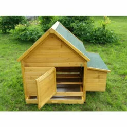 CHEMIN DES POULAILLERS Poulailler Cémani L Toit Shingle Vert 4 À 6 Poules - Vert 7 CHEMIN DES POULAILLERS Poulailler Cémani L Toit Shingle Vert 4 À 6 Poules - Vert -Poulailler et élevage de la basse-cour Soldes Magasin 2662436 3