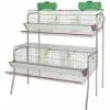SUINGA Batterie Pour 30 Poules Pondeuses Dans 6 Départements 155x110x150 Cm