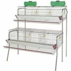 SUINGA Batterie Pour 30 Poules Pondeuses Dans 6 Départements 155x110x150 Cm