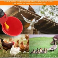 LITZEE 10 PCS Abreuvoir Poules Abreuvoir à Poulet En Plastique Automatique Abreuvoir à Volaille Kit Distributeur D'eau Potable Bols Systèmes D'alimentation En Eau Pour Cailles D'oiseaux Pigeon Poulet -Poulailler et élevage de la basse-cour Soldes Magasin 28070467 3
