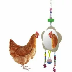 Perle Rare Fournitures De Poulet Pour Animaux De Compagnie Jouets Pour Oiseaux Miroir De Fleur De Prunier Miroir D'oiseau Incassable Grand Miroir Miroir De Poussin De Coq