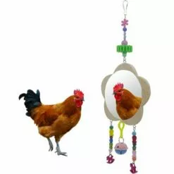 Perle Rare Fournitures De Poulet Pour Animaux De Compagnie Jouets Pour Oiseaux Miroir De Fleur De Prunier Miroir D'oiseau Incassable Grand Miroir Miroir De Poussin De Coq -Poulailler et élevage de la basse-cour Soldes Magasin 29871882 3