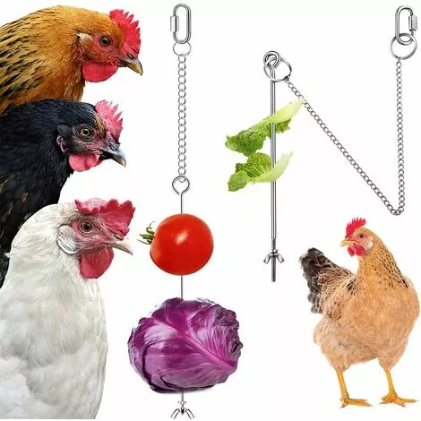 Betterlife Poulet Suspendu Mangeoire Poulet Perroquet Suspendu Mangeoire à Oiseaux En Acier Inoxydable Mangeoire à Poulet Jouet= 1 Betterlife Poulet Suspendu Mangeoire Poulet Perroquet Suspendu Mangeoire à Oiseaux En Acier Inoxydable Mangeoire à Poulet Jouet=