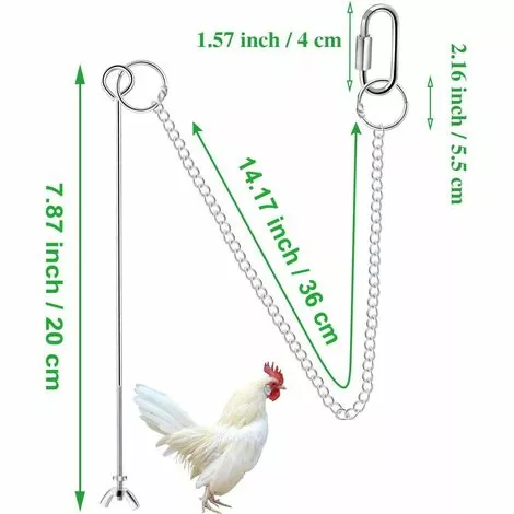 Betterlife Poulet Suspendu Mangeoire Poulet Perroquet Suspendu Mangeoire à Oiseaux En Acier Inoxydable Mangeoire à Poulet Jouet= 2 Betterlife Poulet Suspendu Mangeoire Poulet Perroquet Suspendu Mangeoire à Oiseaux En Acier Inoxydable Mangeoire à Poulet Jouet= – Image 2
