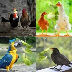 Betterlife Poulet Suspendu Mangeoire Poulet Perroquet Suspendu Mangeoire à Oiseaux En Acier Inoxydable Mangeoire à Poulet Jouet= 8 Betterlife Poulet Suspendu Mangeoire Poulet Perroquet Suspendu Mangeoire à Oiseaux En Acier Inoxydable Mangeoire à Poulet Jouet= -Poulailler et élevage de la basse-cour Soldes Magasin 30051690 4