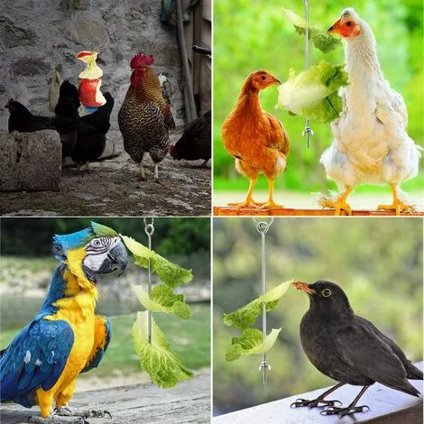 Betterlife Poulet Suspendu Mangeoire Poulet Perroquet Suspendu Mangeoire à Oiseaux En Acier Inoxydable Mangeoire à Poulet Jouet= 4 Betterlife Poulet Suspendu Mangeoire Poulet Perroquet Suspendu Mangeoire à Oiseaux En Acier Inoxydable Mangeoire à Poulet Jouet= – Image 4
