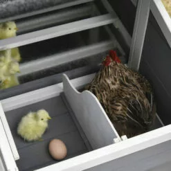 PawHut Poulailler Cottage Cage à Poules Surélevé Dim. 176L X 65l X 100H Cm Multi-équipement Toit Bitumé Noir Bois Sapin Gris Blanc - Gris -Poulailler et élevage de la basse-cour Soldes Magasin 30202374 4