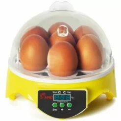 IDMARKET Couveuse Manuelle 7 Oeufs Incubateur Température Réglable