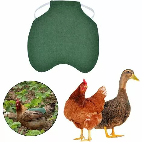 BETTERLIFE Tablier De Poulet À Sangle Unique/Gilet De Selle Protection De L'aile De Canard De Poule Vestes De Poulet Standard Tabliers De Poule Accessoires De Soins De Volaille 5pcs-vert 1 BETTERLIFE Tablier De Poulet À Sangle Unique/Gilet De Selle Protection De L'aile De Canard De Poule Vestes De Poulet Standard Tabliers De Poule Accessoires De Soins De Volaille 5pcs-vert