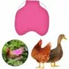 ILOVEMILAN Tablier De Poulet À Sangle Unique/Gilet De Selle Protection De L'aile De Canard De Poule Vestes De Poulet Standard Tabliers De Poule Accessoires De Soins De Volaille 5pcs-Rose Rouge