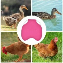 ILOVEMILAN Tablier De Poulet À Sangle Unique/Gilet De Selle Protection De L'aile De Canard De Poule Vestes De Poulet Standard Tabliers De Poule Accessoires De Soins De Volaille 5pcs-Rose Rouge -Poulailler et élevage de la basse-cour Soldes Magasin 30673276 4
