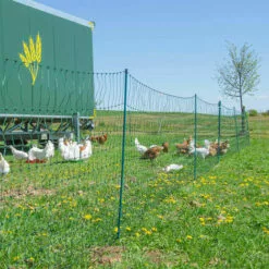 HORIZONT Filet Volaille Non électrifié 50 M, H 1.2 M - Vert -Poulailler et élevage de la basse-cour Soldes Magasin 30810825 4