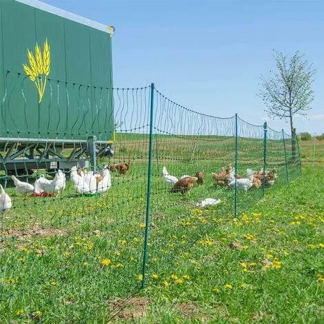 HORIZONT Filet Volaille Non électrifié 25m, H 1.2m - Vert 5 HORIZONT Filet Volaille Non électrifié 25m, H 1.2m - Vert – Image 5