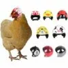Triomphe Casque Pour Animaux De Compagnie Casque De Poulet Chapeau Pour Animaux De Compagnie Jouet Casque Casque De Poule De Poule Costumes Accessoires Pour Poulet 8 Pièces