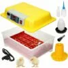 ECD GERMANY Incubateur Oeufs Automatique Couveuse Appareil Couver 24 Oeufs Volaille Eleveur