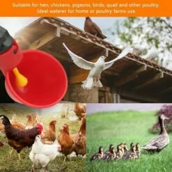 AIDUCHO 10 PCS Abreuvoir Poules Abreuvoir à Poulet En Plastique Automatique Abreuvoir à Volaille Kit Distributeur D'eau Potable Bols Systèmes D'alimentation En Eau Pour Cailles D'oiseaux Pigeon Poulet -Poulailler et élevage de la basse-cour Soldes Magasin 32752418 3