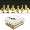 MERKMAK Incubateur Oeufs Couveuse A Oeuf Automatique Pour Volaille, Caille, Oie Canard, Pigeon, Reptile - 16 Oeufs